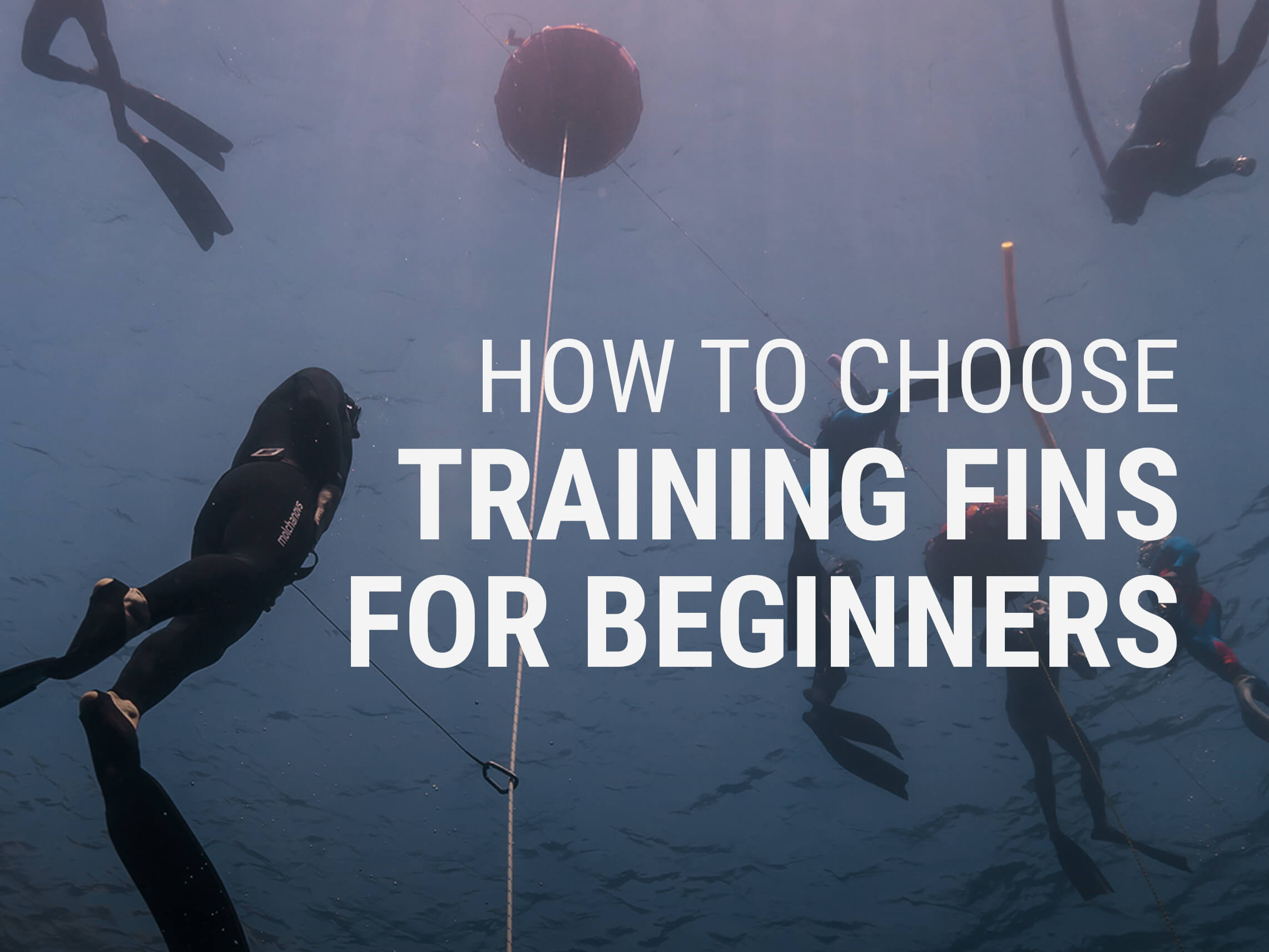 How to Choose Between Molchanovs Freediving Bifins: Training Fins for Beginners