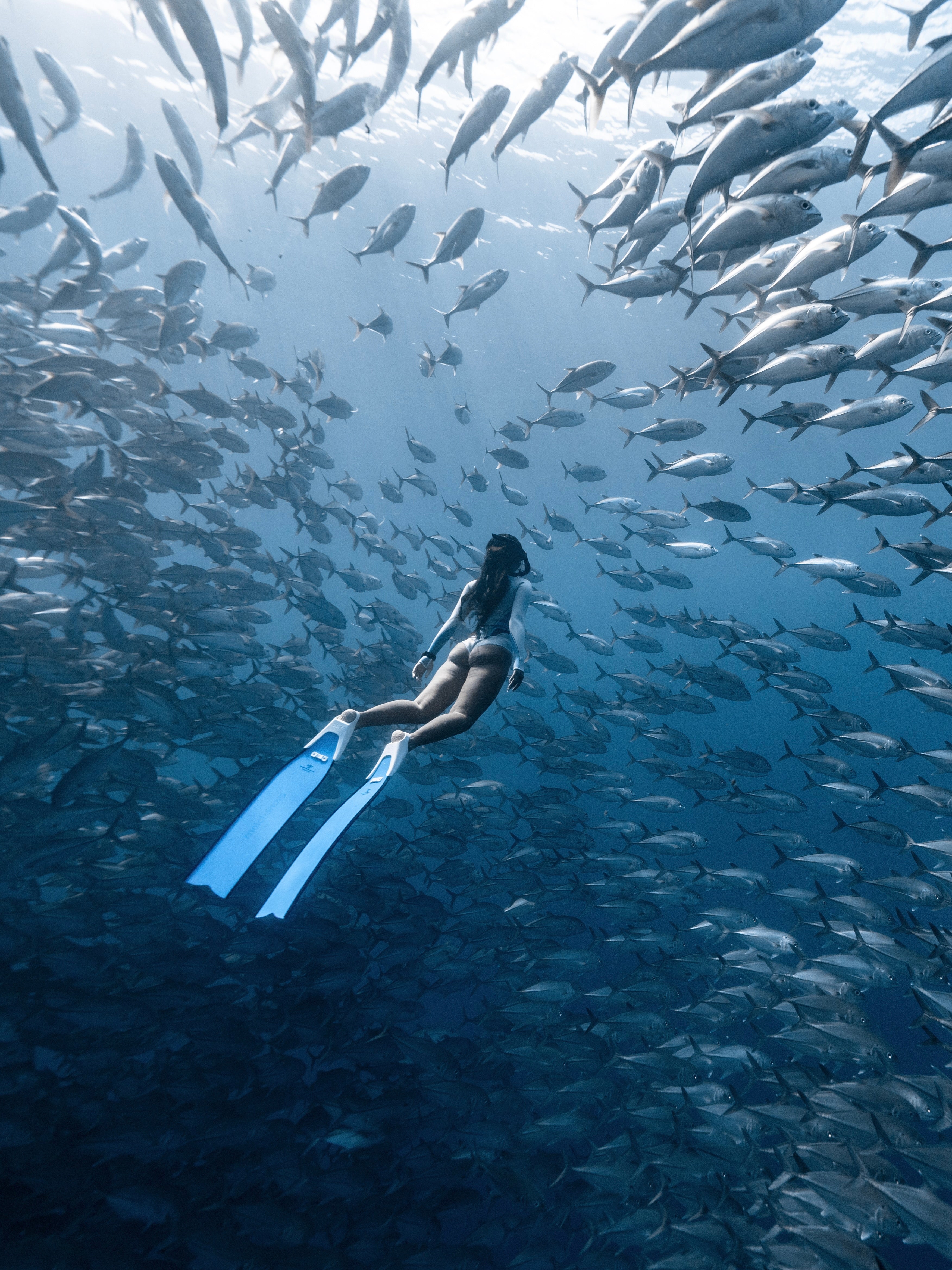 SPORT Bifins 3 Fiberglass