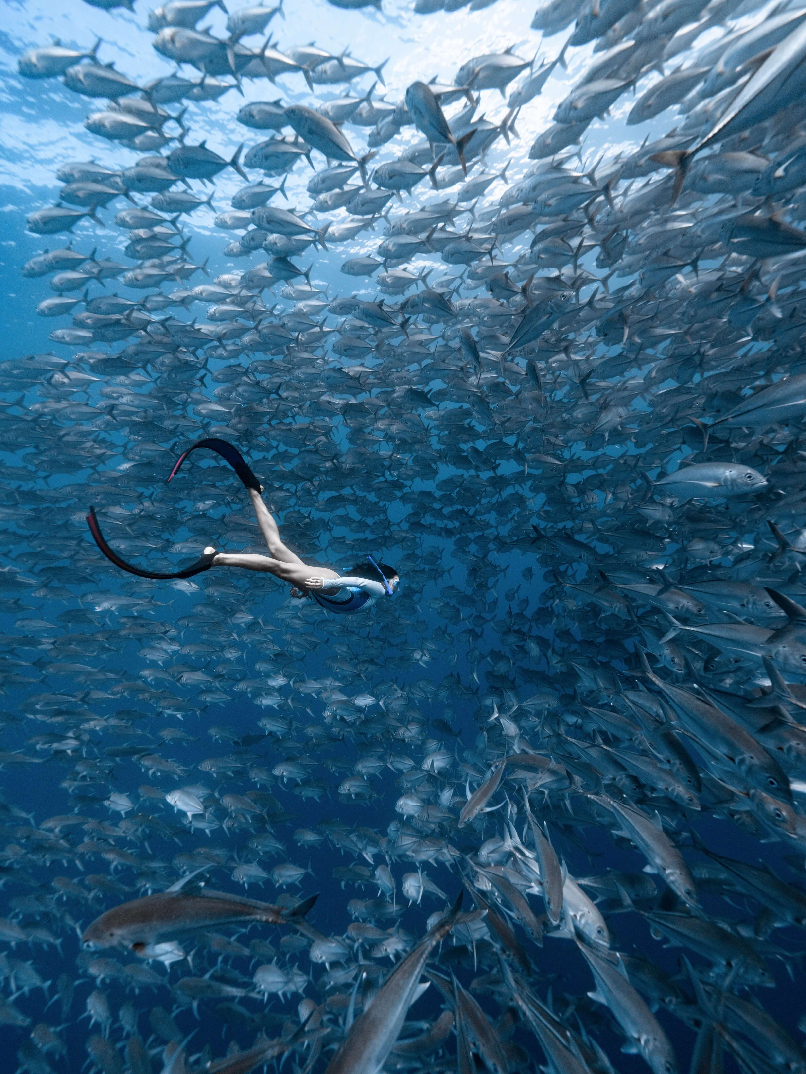 SPORT Bifins 3 Fiberglass