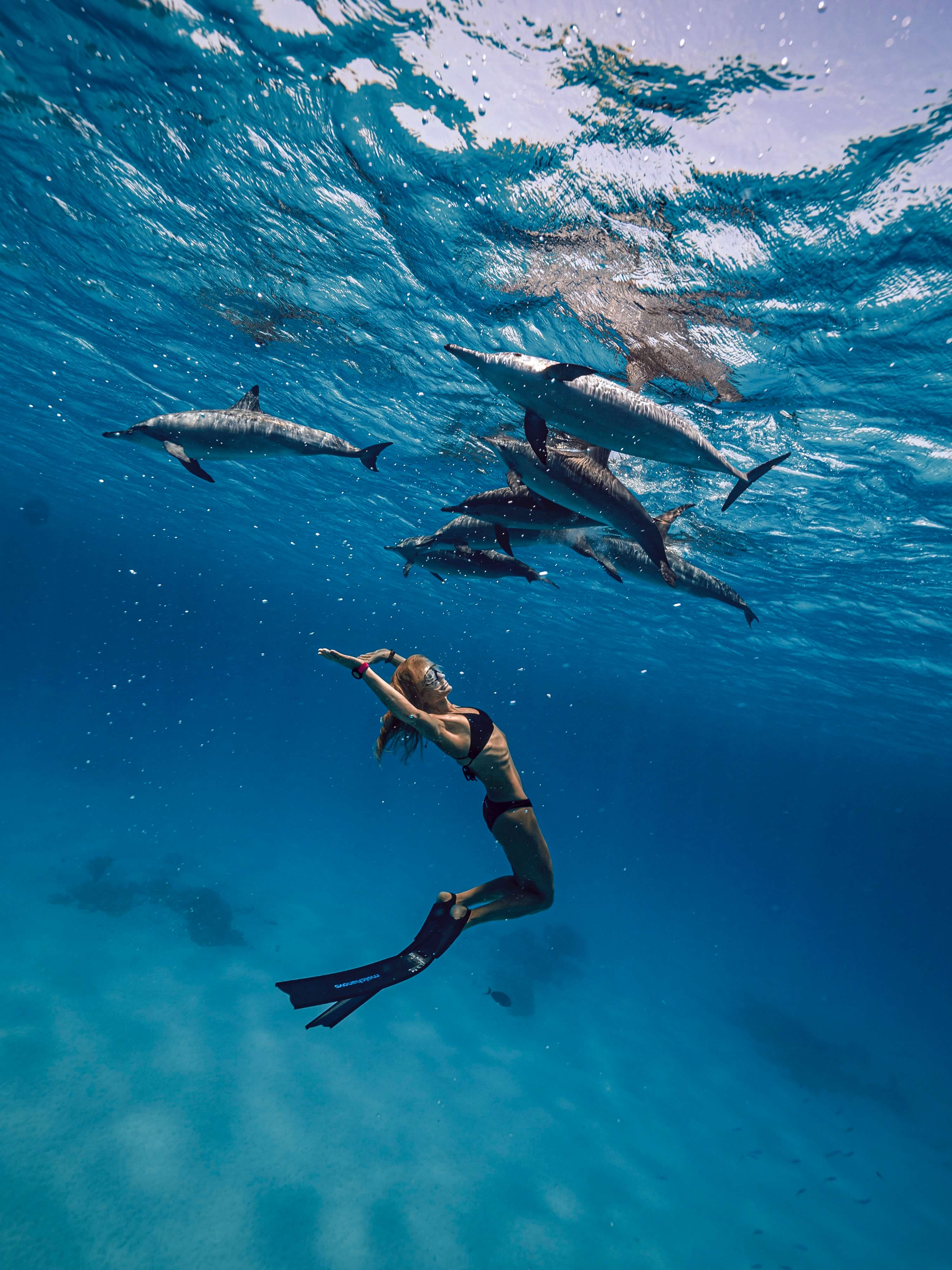 SPORT Bifins 3 Fiberglass