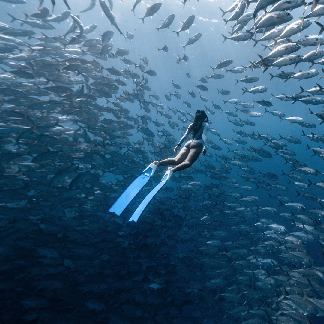 Freediver gliding through a large school of fish underwater wearing light-coloured freediving fins